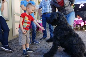 weisremer-hundesalon